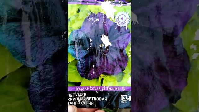 Семена из леруа, стоит ли брать смотреть онлайн