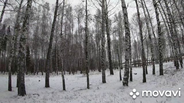 Перевоз часть 2 . про секту хлыстов, красивые места, землянка, охотничий домик, красивый лес, смотреть онлайн