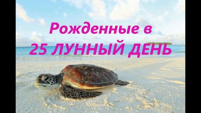 Рожденные в 25 лунный день смотреть онлайн