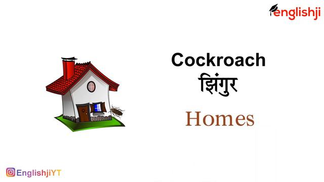 Animal Homes Name For Kids in English | Animal Homes Vocabulary Song, Rhymes, Video For Class 1 смотреть онлайн