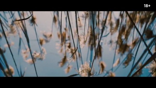 Новый фильм Гая Ричи «Переводчик» перенесли в России — он выйдет 1 июня