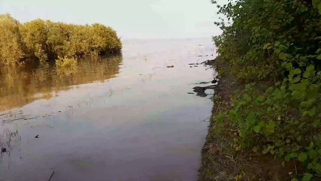 ищем бычков на лодке по братскому водохранилище смотреть онлайн