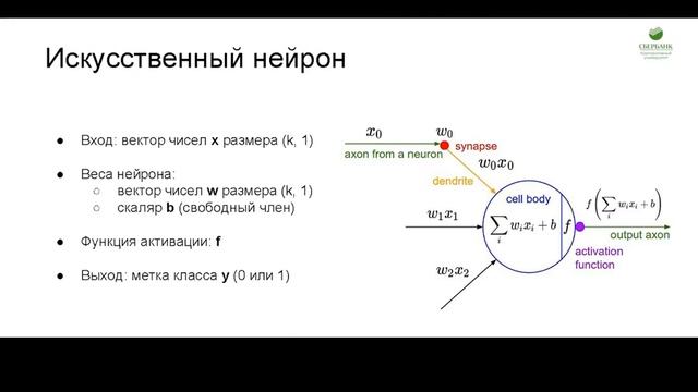 Модель нейрона смотреть онлайн