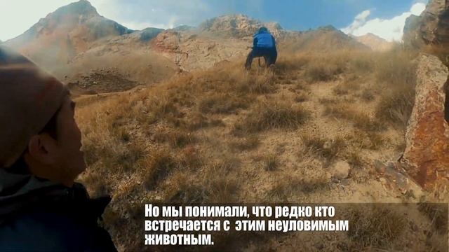 Экспедиция "По следам снежного барса в Кыргызстане" смотреть онлайн