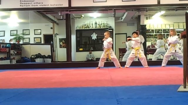 Ian does 27 moves shotokan karate смотреть онлайн