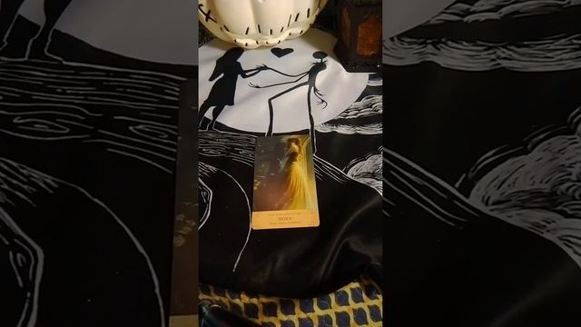 #SpookySeasonDecks VR #FallTarotDecks #FallOracleDecks смотреть онлайн