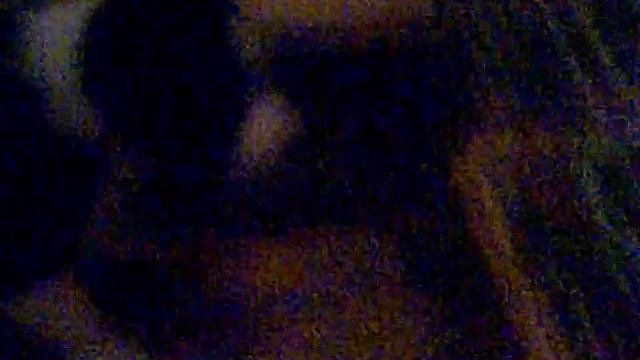 Русско-Европейская лайка, Дина 1 мес. Первая притравка.