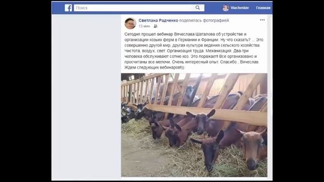 Отзывы о вебинаре/// Мое СПАСИБО козоводам смотреть онлайн