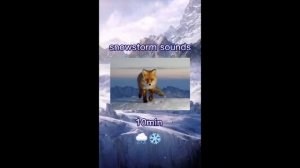 🐾 // therian meditation/shifting music playlist \\ 🌙