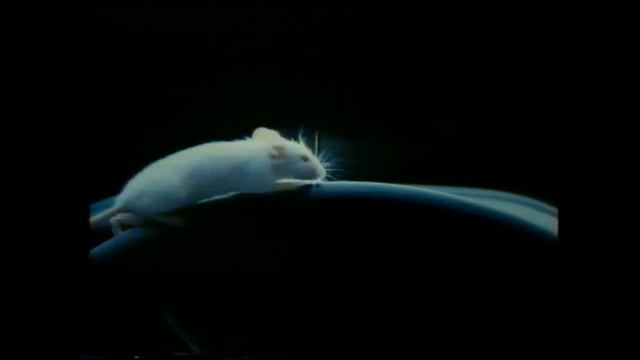 BMW - "Mouse II" 1993 (Englisch) смотреть онлайн