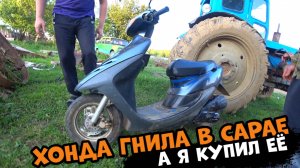 Купили японского мертвеца, Хонда Дио после простоя