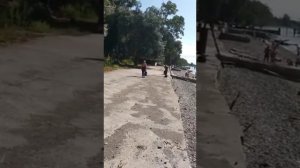 Пансионат Эвкалиптовая роща , поселок Кындык. Сухум. Абхазия 2022