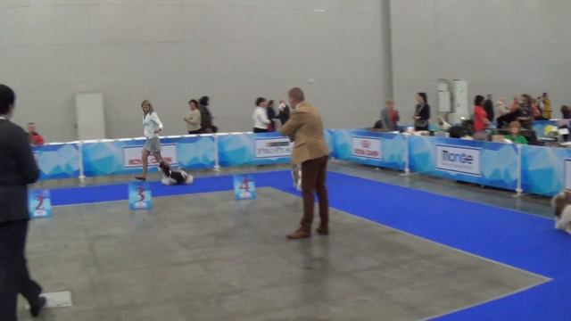 00025 Евразия 17.03 .2017 смотреть онлайн