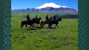 Карачаевская порода лошадей