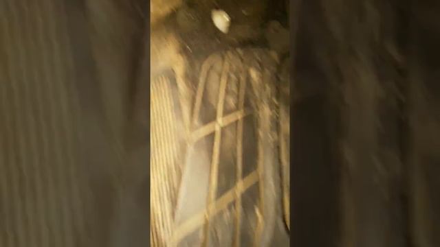 Ford Fusion 2006 Sjb