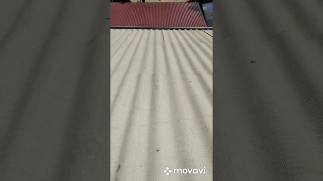 Очистка, грунтовка и покраска резиновой краской шифера за 2 дня смотреть онлайн