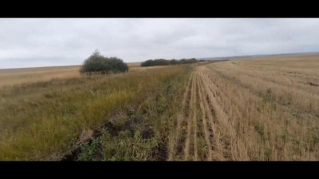ОГРОМНЫЙ КОЛОДЕЦ ПРЯТАЛСЯ В ТРАВЕ смотреть онлайн