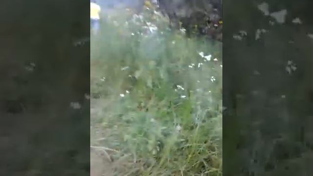 Идём купаться смотреть онлайн