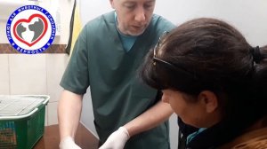 Кошка отравилась крысиным ядом, что делать? Помощь Животным