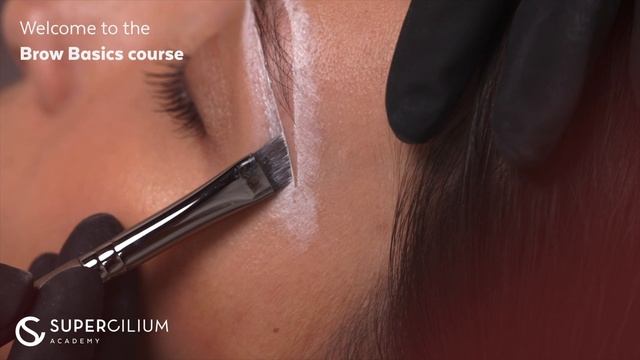 Step-by-step Brow Henna application | Brow Henna Course смотреть онлайн