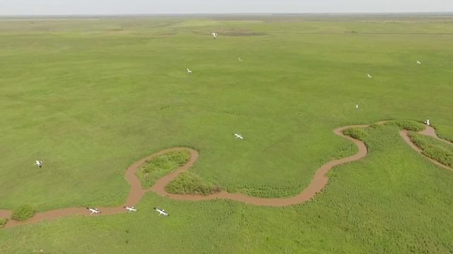 Полеты с аистами смотреть онлайн