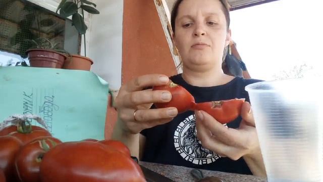 как собрать семена помидор в домашних условиях смотреть онлайн