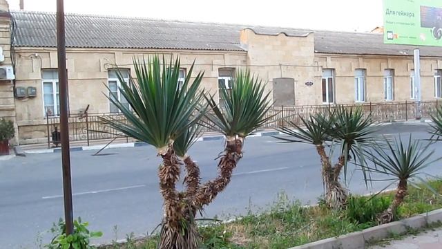 Дербент пешком. Набережная и городской пляж. Итоги второго дня #3 смотреть онлайн