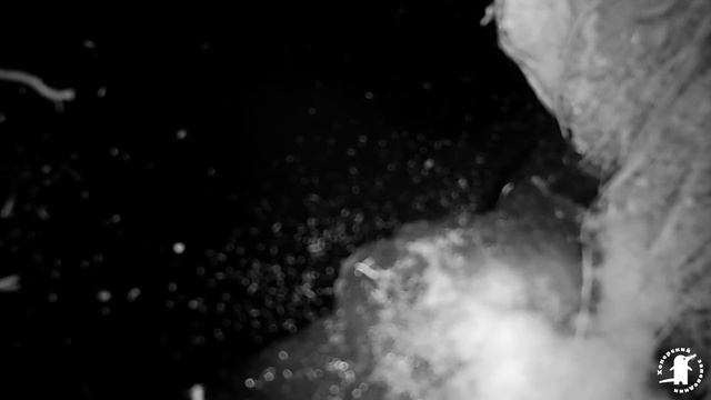 С Днем Рождения, Хопёрский заповедник!🎉🎉🎉