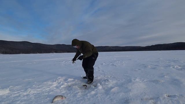 Alaska.Зима. Всё,пора удлинять шнек.Рыбалка на озёрную форель смотреть онлайн
