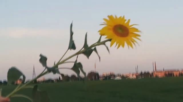 5 фраз, которые принесут благополучие в вашу жизнь смотреть онлайн