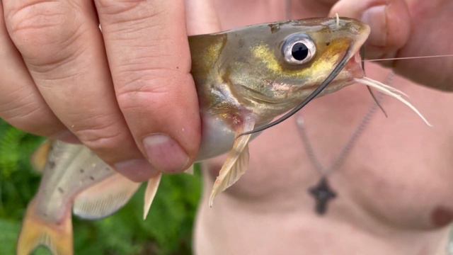 Италия 2022 #4 Кемпинг/Здесь сейчас рыбы нет☺ смотреть онлайн