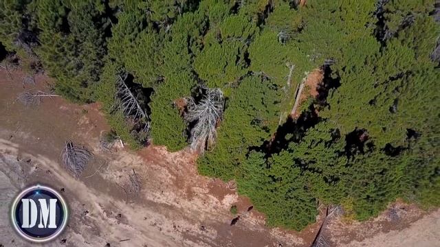 Women's Day - Night Shadow & Steve Jobs / Музыка с пейзажами, красивая музыка с пейзажами 2021 Rela