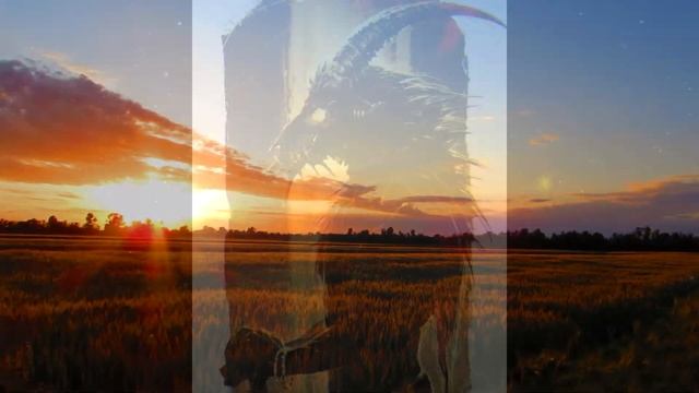 Козлочеловек (Человек-козел) - монстр из Поуп Лик / Североамериканские мифические существа смотреть онлайн