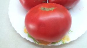 Томат Гигантелла. Крупноплодный, вкусный, красивый! Вызревает в открытом грунте!