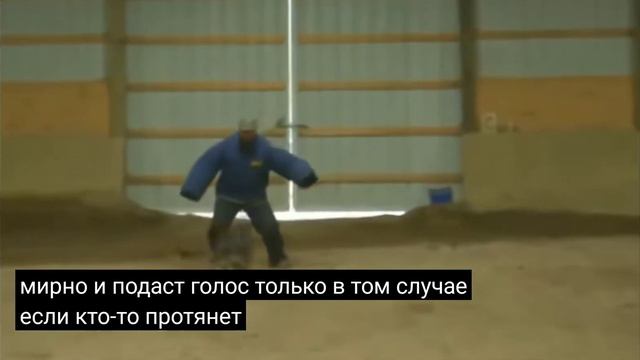 Всё нужное для вас подготовил отличное качество видео подпишитесь на наш канал поставьте лайк смотреть онлайн