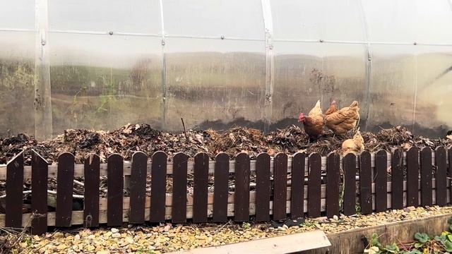 Дачная жизнь. Готовимся к зиме и новому сезону . Урожайные грядки готовы смотреть онлайн