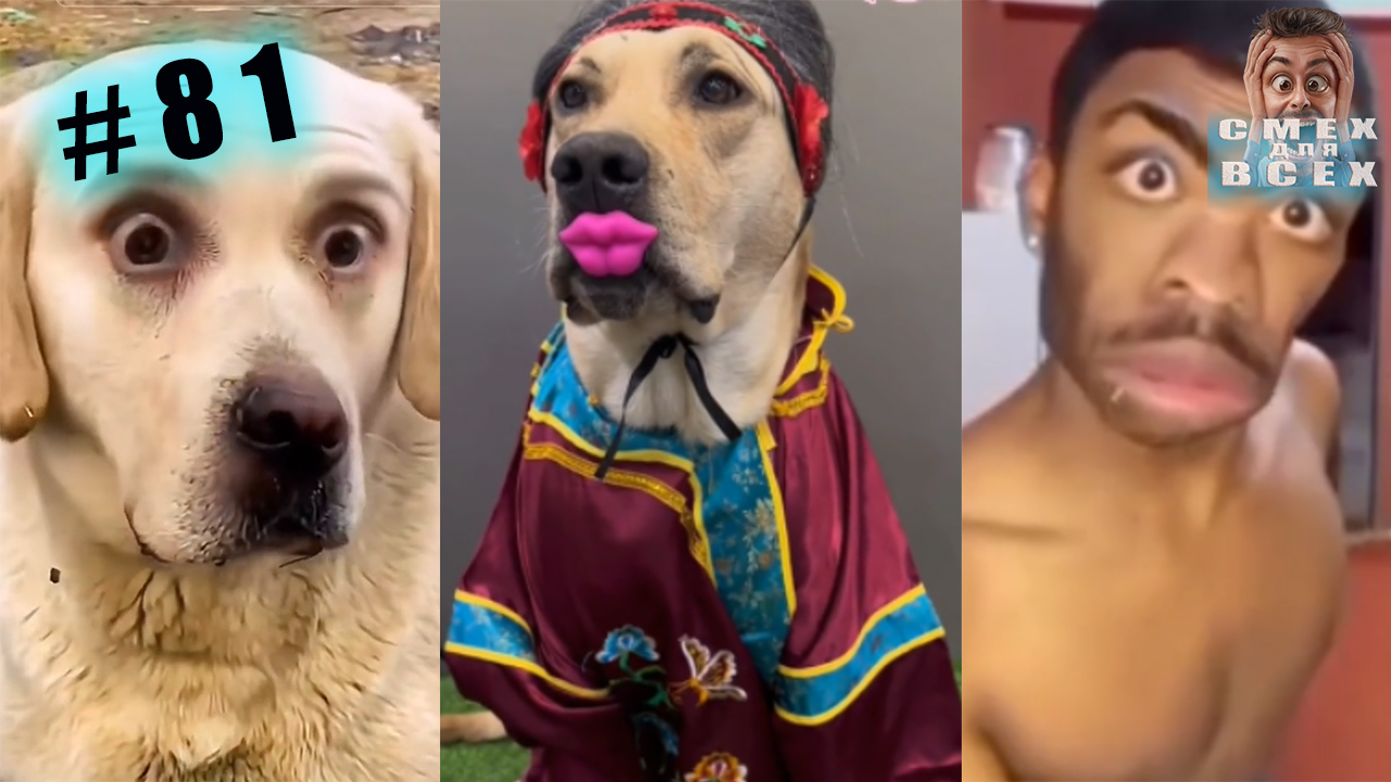 приколы чудики тик ток смотреть онлайн