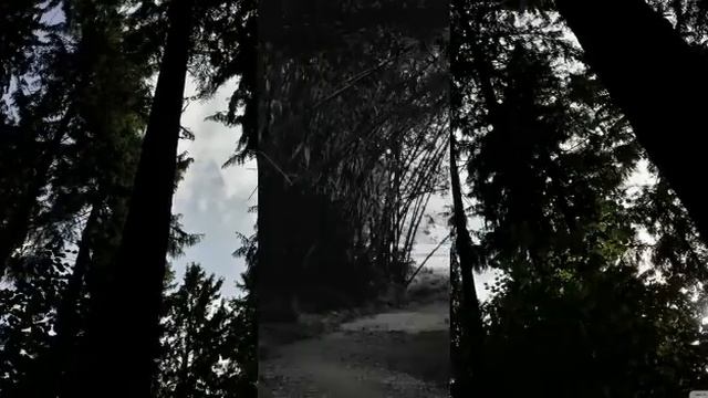 ВОЛК ПРОСЛАВЛЯЕТ БОГИНЮ НОЧИ...(ОЧИЩАЕТ ПОДСОЗНАНИЕ ОТ СТРАХОВ).... смотреть онлайн