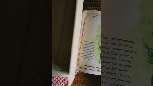 "Секреты колдовских растений" Ришар Эли смотреть онлайн