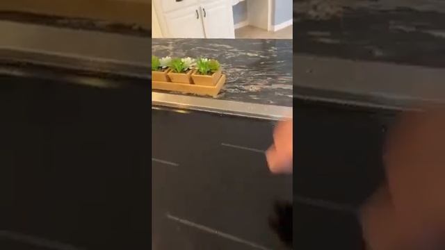 Looking At A Fancy & Functional Down Draft Vent смотреть онлайн