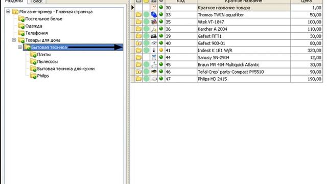Урок№2 РФ: Интерфейс программы WinShop Site Administrator .avi смотреть онлайн