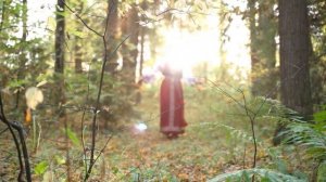 ПЕРВОЕ КРЫЛЕЧКО