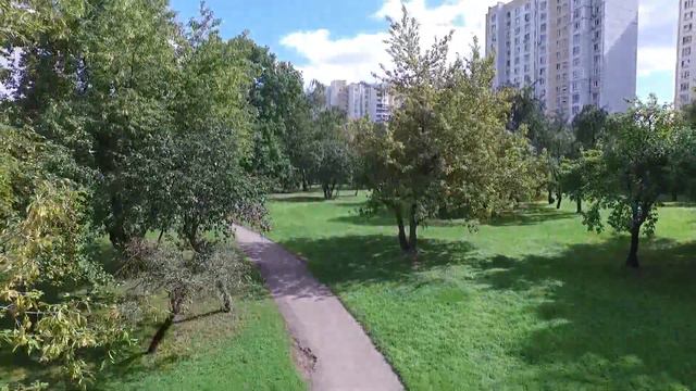 DJI Phantom 3 Professioanl - second flight смотреть онлайн