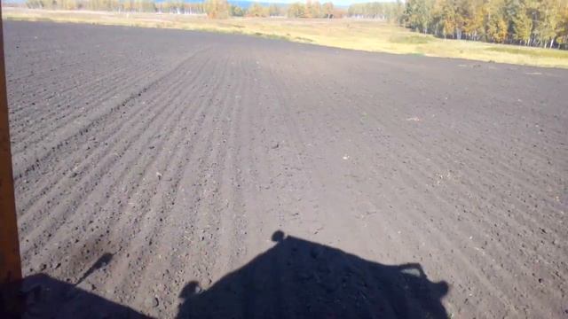 ДТ-75МЛ НА КУЛЬТИВАЦИИ. смотреть онлайн