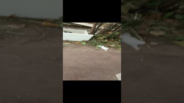 пожалуйста наберите 1000 подписчиков