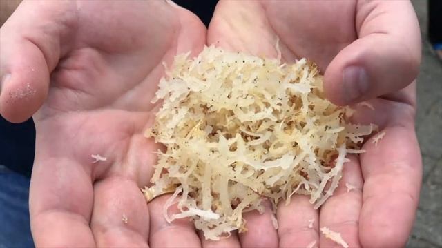 Сырье для производства каррагинана смотреть онлайн