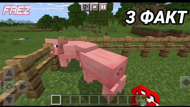 5 ФАКТОВ О СВИНЬЯХ В МАЙНКРАФТЕ смотреть онлайн
