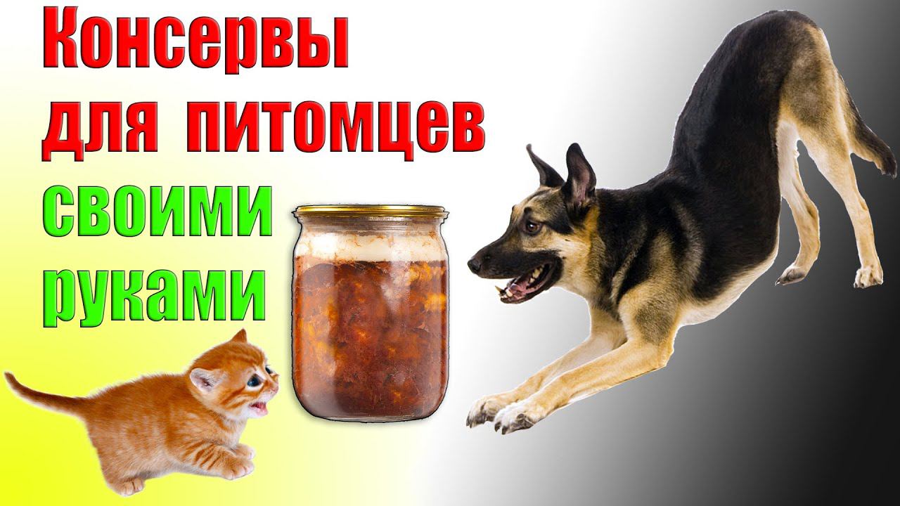 Консервы для питомцев своими руками смотреть онлайн
