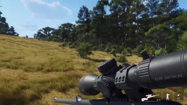 HUNTING GIANT FERAL PIGS WITH MONSTER TUSKS ON MATARIKI PARK IN WAY OF THE HUNTER! HOTSPOTS SHOWN! смотреть онлайн