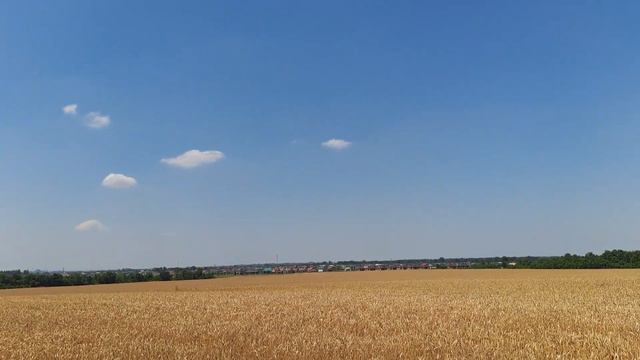 Идёт уборка зерновых !!! Хлеб будет !!!!! смотреть онлайн